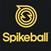 Spikeball