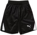 PUMA Team Shorts