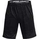UA Heatwave Hoops Shorts Black