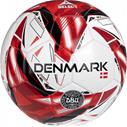 SELECT FB Danmark Fodbold