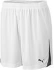 PUMA Powercat 5.10 Shorts