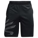 UA Curry Splash Shorts Black