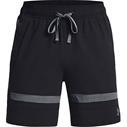 UA Baseline Woven Shorts II Black