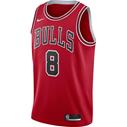 NIKE NBA Bulls Icon Swingman Jersey Lavine