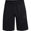 UA Baseline 10" Shorts Black