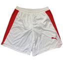 PUMA Shorts DHF Home/away White/red