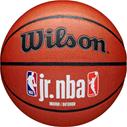 WILSON Jr. NBA Fam Logo Indoor/Outdoor