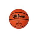 WILSON Micro Rubber Basketball