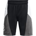 UA Curry Spalsh Shorts Jr. Black/Grey/White