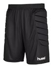 HUMMEL GK Shorts w. Padding