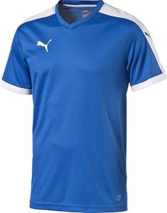 PUMA Pitch Jersey