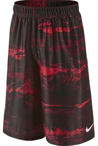 NIKE Lebron Ultimate Jr. Shorts