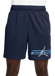 JORDAN Mesh Graphic Shorts - Navy