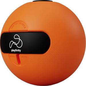 PLAYFINITY Speedyball