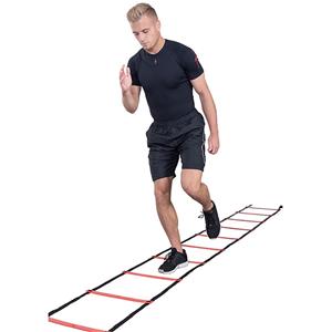 P2I Agility Ladder 4m