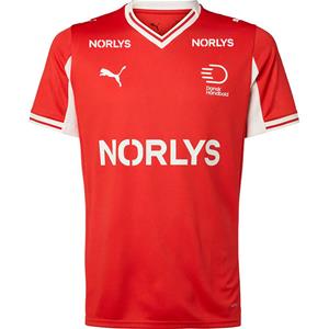 PUMA DHF 2026 Håndbold Landsholdstrøje