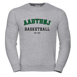 Aabyhøj Basket Sweatshirt Grå