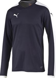 PUMA Pitch LS Jersey